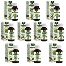 Extrato Própolis Puro Kit com 10 Verde Alecrim 15% Imunidade Vitamina Aquoso 30 ml Natural