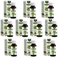 Extrato Própolis Puro Kit com 10 Verde Alecrim 15% Imunidade Vitamina Aquoso 30 ml Natural Extrato Própolis Puro Kit com 10 Verde Alecrim 15% Imunidade Vitamina Aquoso 30 ml Natural