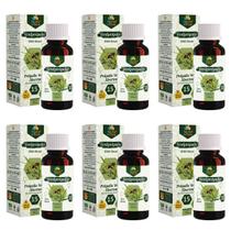 Extrato Própolis Puro Kit com 6 Verde Alecrim 15% Sem Alcool Imunidade Vitamina Aquoso 30 ml Natural