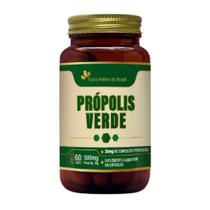 Extrato Seco Própolis Verde 60 Capsulas 500mg