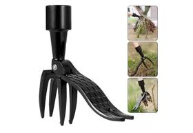 Extrator Automático De Ervas Para Tortas Das Malvadas Praga