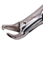 Extrator dentário Forceps adulto Tamanhos 1, 16L, 17, 23, 65, 69, 99, 101 Social Instrumentos