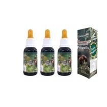 Extratos de Própolis 30ml cada - Apiários Sul Mineira 3 und