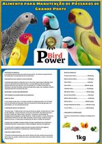 Extrusada Power Bird - Papagaio Mini Stick - 1Kg