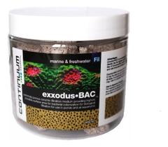 Exxodus Bac Cubo 250ml Continuum Mídia Biológica