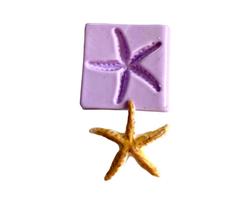 F1026 molde de silicone estrela do mar confeitaria biscuit