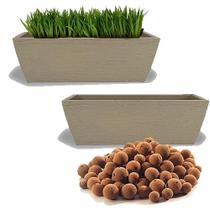 Fabio Lopes dos Reis Junior