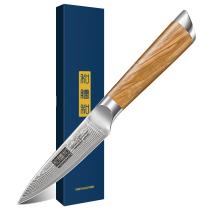 Faca de Descascar HOSHANHO Damasco 3,75 Polegadas, Faca Profissional Pequena para Frutas em Aço Super Damasco de 67 Camadas, Super Afiada e Forjada à Mão Estilo Japonês