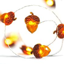 Fairy String Lights BOHON Acorn 10 pés e 40 LEDs operados por bateria