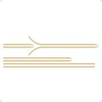 Faixa S10 Executive 2001/2002 Cabine Simples Adesivo Dourado