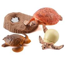 Fantarea 4 PCS Sea Turtle Sea Marine Animal Modelo Desaulas do Ciclo de Vida Festa favorece suprimentos Bolo Toppers Decoração Conjunto Brinquedos Educacionais para 5 6 7 8 Anos Meninas Crianças Crianças