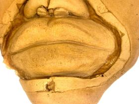 Fantasia Boca Grande em Foam látex espuma de látex