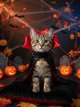 Fantasia capa drácula para pet