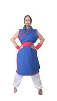 Fantasia Cosplay Goku Chichi feminina adulto chi chi