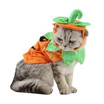 Fantasia de abóbora para animais de estimação, chapéu e poncho ajustáveis ANIAC para gatos