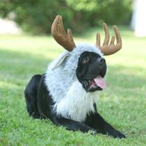 Fantasia de animal de estimação Onmygogo Funny Moose Traje para cães tamanho L