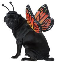 Fantasia de Borboleta Monarca para Cães - Tamanho XS