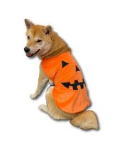 Fantasia de cachorro ComfyCamper, capa de abóbora para Halloween grande