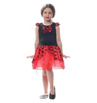 Fantasia de Joaninha Infantil Com Asas Animais