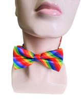 Fantasia Gravata Borboleta Colorida de Cetim Adulto/Infantil