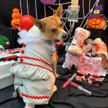 Fantasia HALLOWEEN " IT " a coisa para pet Fantasia HALLOWEEN " IT " a coisa para pet