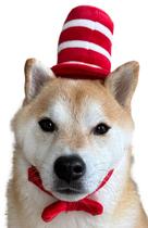 Fantasia para cães ComfyCamper Red White Top Hat Bowtie M