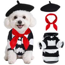 Fantasia para cães PetPhindu Halloween Artist com boina e cachecol Fantasia para cães PetPhindu Halloween Artist com boina e cachecol