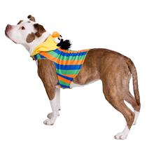 Fantasia Pet Krewe Bert Sesame Street para cães G-Large