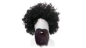 Fantasia raul seixas peruca barba halloween carnaval