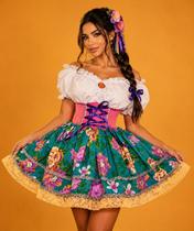 Fantasia Vestido Caipira Feminino Adulto Festa Junina de Luxo