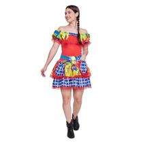 Fantasia Vestido Junina Luxo Boneca Pink Adulto Feminino