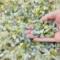 FANTIAN Pedras de Jade 0,95 kg, seixos de 1 cm para plantas FANTIAN Pedras de Jade 0,95 kg, seixos de 1 cm para plantas