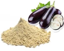 Farinha de Berinjela Granel Total Food 500g Farinha de Berinjela Granel Total Food 500g