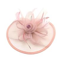 Fascinators Femininos Estilo Kentucky Derby Anos 50, Com Véu Gaiola De Pássaro E Presilha De Cabelo