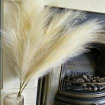 Faux Pampas Grass Decor Wttisel 38 10 hastes para vaso de chão