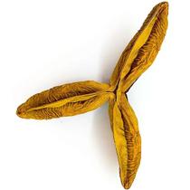 Fava da Sorte Amuleto Prosperidade Proteção Espiritual