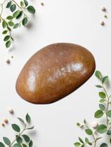 Fava de Ario Proteção Força Espiritual Amuleto Natural