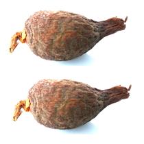 Fava de Atare Pimenta da Costa Africana Ritual Umbanda Candomblé Exu Kit 2 Und