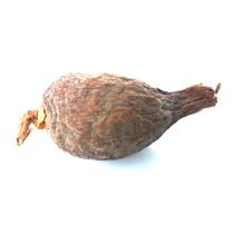 Fava de Atare Pimenta da Costa Africana Ritual Umbanda Candomblé Original Orixá