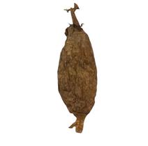 Fava de Ataré (Pimenta da Costa) Força Proteção Energia Espiritual Fava de Ataré (Pimenta da Costa) Força Proteção Energia Espiritual