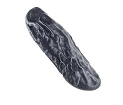 Fava de Cumaru / Fava Tonka Proteção Prosperidade Força Espiritual