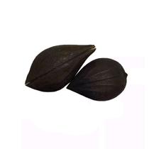 Fava De Exu Natural Para Assentamento e Ritual Unidades