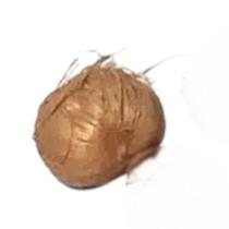 Fava de Harmonia Equilíbrio Paz Energia Positiva