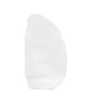 Fava de Iemanjá Proteção Fertilidade Conexão Espiritual Fava de Iemanjá Proteção Fertilidade Conexão Espiritual