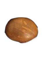 Fava de Logum Edé Equilíbrio Harmonia Proteção Espiritual Fava de Logum Edé Equilíbrio Harmonia Proteção Espiritual
