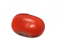 Fava de Ogum Coragem Proteção Abertura de Caminhos Fava de Ogum Coragem Proteção Abertura de Caminhos