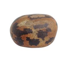 Fava de Omulu / Obaluaê Cura Proteção Renovação Espiritual