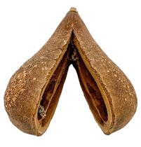 Fava de Opelé Sabedoria Oráculo Conexão Espiritual Fava de Opelé Sabedoria Oráculo Conexão Espiritual