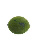 Fava de Ossain / Fava de Ossanhe Força da Natureza Cura Proteção Espiritual