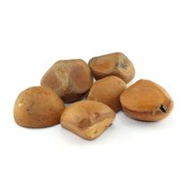 Fava de Oxum Andiroba para Rituais e Oferendas Unidade